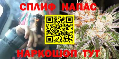 твердый Новоалександровск