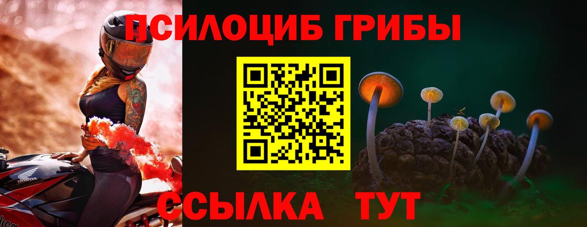 Видное  Галлюциногенные грибы прущие грибы  Вход с VPN 